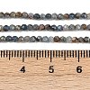 Natural Kyanite Beads Strands G-RM2025-A34-2mm-5