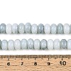 Glass Beads Strands GLAA-N059-5x8mm-41-4