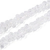 Handmade Lampwork Beads Strands LAMP-N028-03A-2