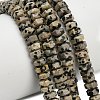 Natural Dalmatian Jasper Beads Strands G-G317-A16-3x6mm-1