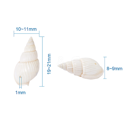 Natural Trumpet Shell Beads BSHE-KS0001-01-1