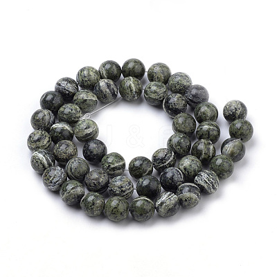Natural Green Zebra Jasper Beads Strands G-S259-34-10mm-1