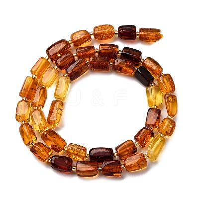 Gradient Color Natural Amber Beads Strands G-F803-D01-04-1