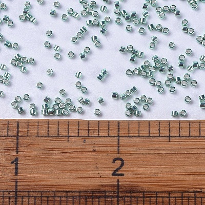 MIYUKI Delica Beads X-SEED-J020-DB0415-1
