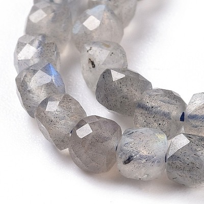 Natural Labradorite Beads Strands G-D0003-B10-1