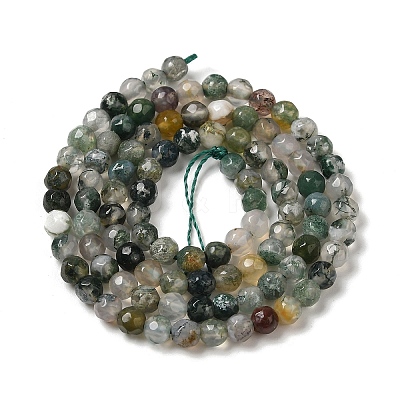 Natural Tree Agate Beads Strands G-H302-A03-02-1