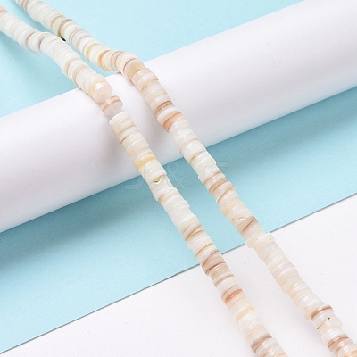 Freshwater Shell Beads Strands SHEL-G011-09-A02-1