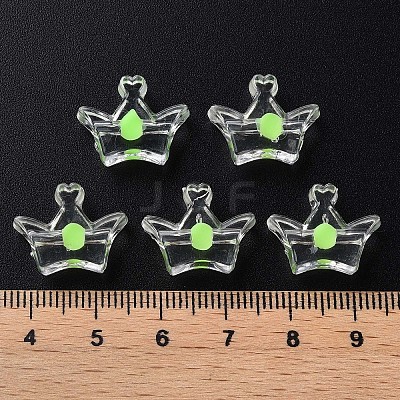 Transparent Acrylic Beads LS-MACR-S373-105-B06-1