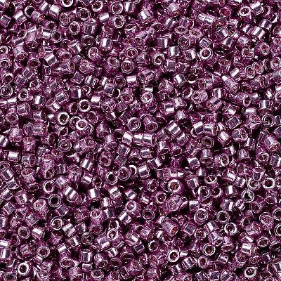 MIYUKI Delica Beads SEED-MY11-DB1848-1