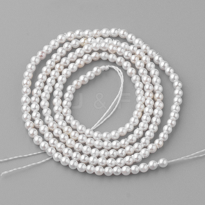 Shell Pearl Beads Strands PEAR-R064-94-1