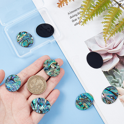 Natural Paua Shell Cabochons SHEL-BC0001-029A-1