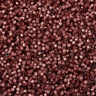 MIYUKI Delica Beads SEED-X0054-DB2179-1