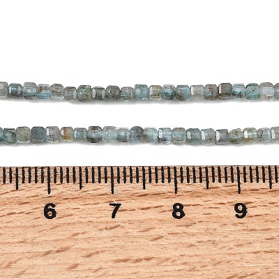 Natural Apatite Beads Strands G-RM250104-C8-1