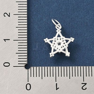 925 Sterling Silver Pave Clear Cubic Zirconia Pendants STER-G049-01B-S-1