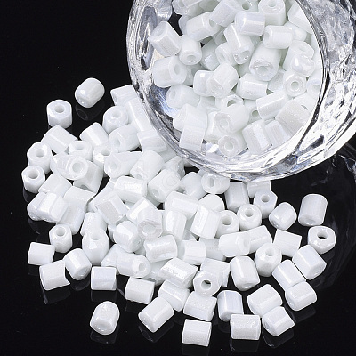6/0 Two Cut Glass Seed Beads SEED-S033-07B-04-1