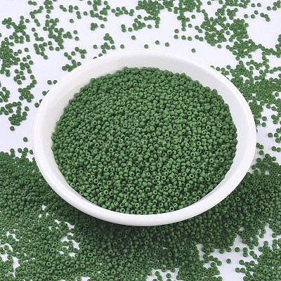 MIYUKI Round Rocailles Beads SEED-G007-RR0411F-1