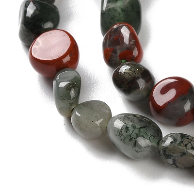 Natural African Bloodstone Beads Strands G-P497-01C-22-1