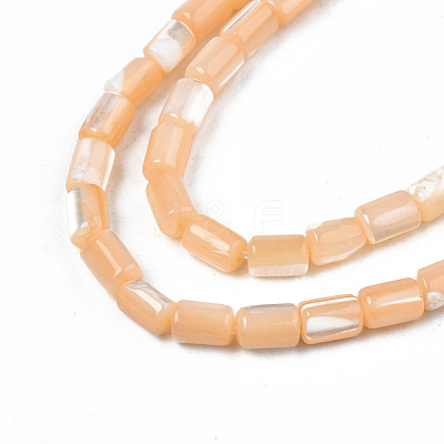 Natural Trochid Shell/Trochus Shell Beads Strands SHEL-N003-26-B06-1