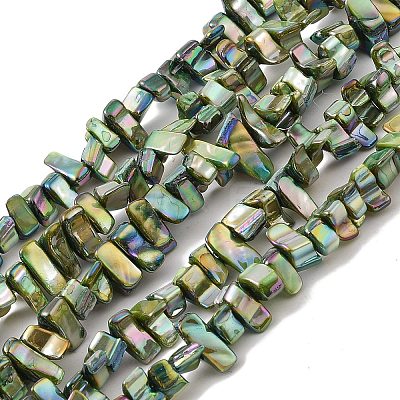 Natural Freshwater Shell Beads Strands BSHE-H018-07C-1
