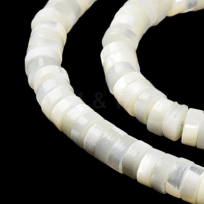 Natural Trochus Shell Beads Strands BSHE-E030-09A-01-1