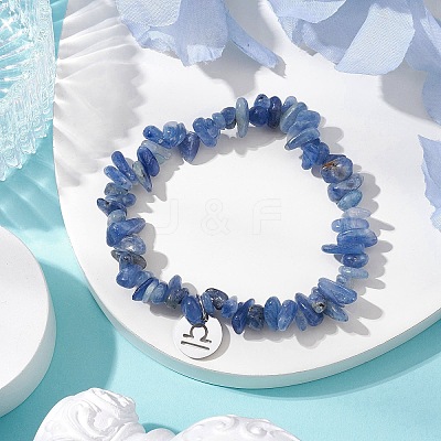 Natural Kyanite Stretch Bracelets BJEW-JB11147-07-1