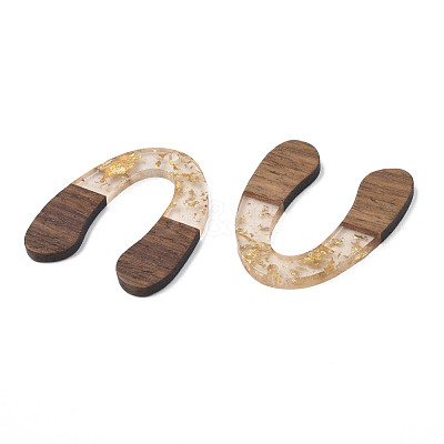 Transparent Resin & Waxed Walnut Wood Pendants RESI-Q211-01A-1