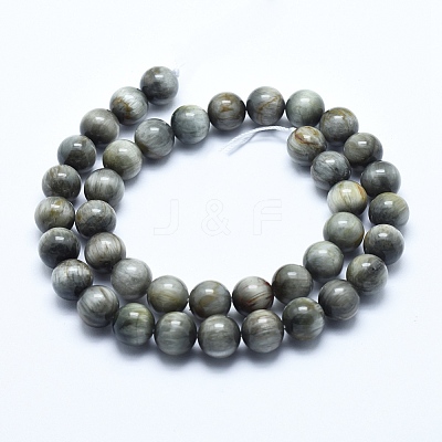 Natural Hawk's Eye Beads Strands X-G-E483-20-8mm-1