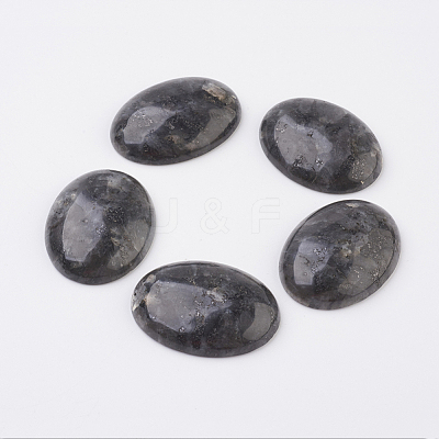 Natural Larvikite Flat Back Cabochons G-G741-30x40mm-04-1