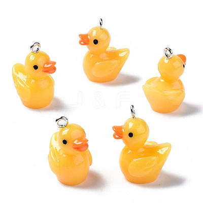 Opaque Resin Pendants RESI-S356-065-1