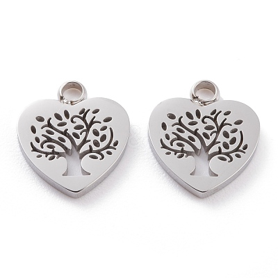 Non-Tarnish 304 Stainless Steel Charms STAS-Y002-05P-1