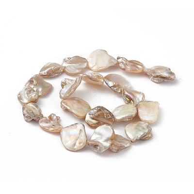 AB Color Plated Natural Freshwater Shell Beads Strands X-BSHE-G033-03B-1