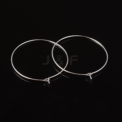 Silver Color Plated Brass Earring Hoops X-EC067-4S-1
