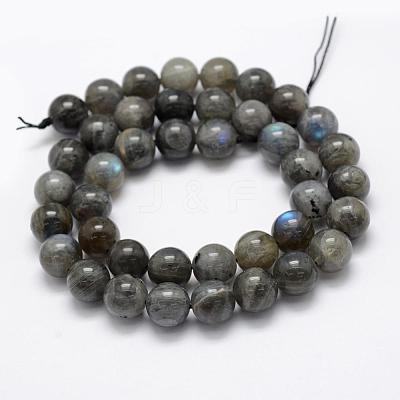 Natural Labradorite Beads Strands G-P322-31-10mm-1