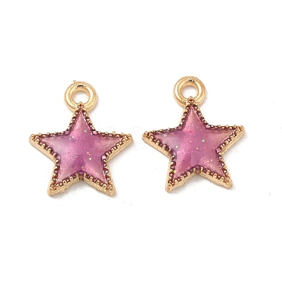 Alloy Enamel Charms ENAM-S121-024-1