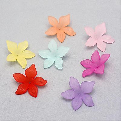 Transparent Acrylic Beads FACR-Q009-14-1