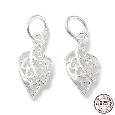 925 Sterling Silver Hollow Charms STER-E069-03S-1