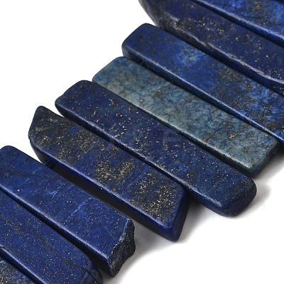 Natural Lapis Lazuli Beads Strands G-S386-D13-1