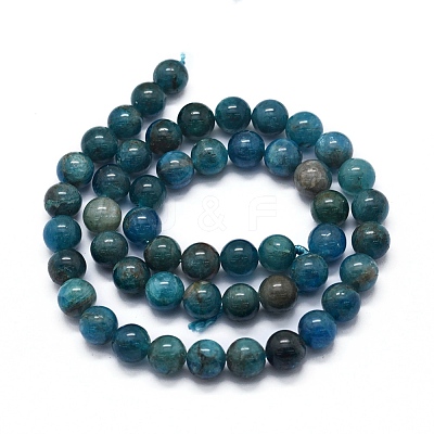 Natural Apatite Beads Strands G-F591-01-1