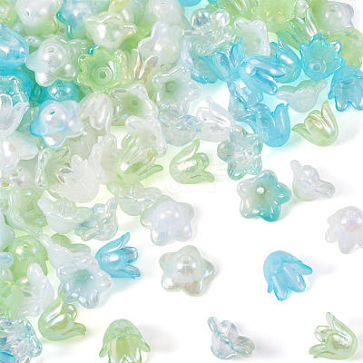 Acrylic Bead Caps OACR-TA0014-45B-1