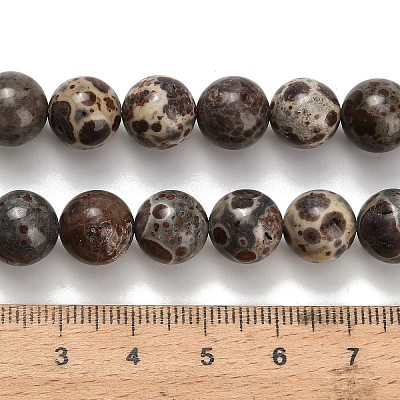 Natural Astroite Jasper Beads Strands G-H329-C02-10mm-1