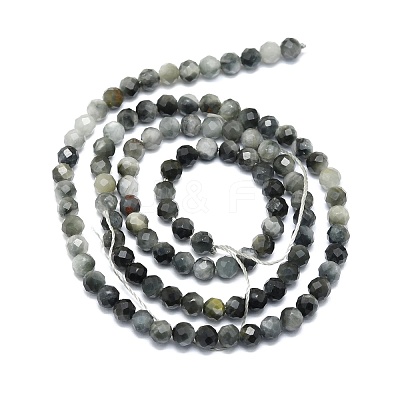 Natural Hawk's Eye Beads Strands G-P457-A03-06-1