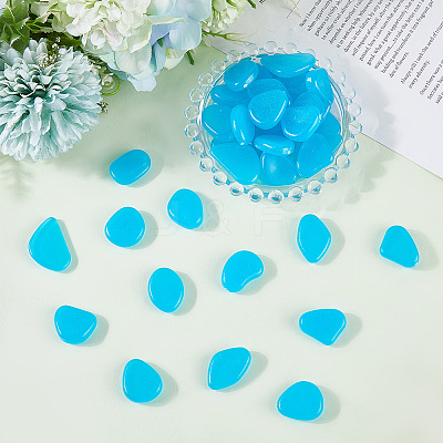 1 Set Resin Luminous Glow in the Dark Pebbles Stone DJEW-CN0001-40B-1