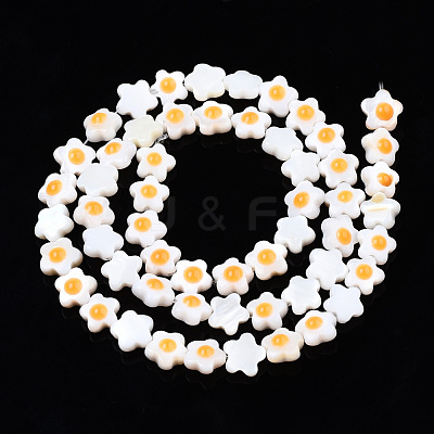 Natural Freshwater Shell Beads Strands SHEL-N003-31A-01-1
