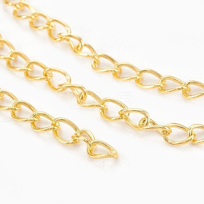 Iron Twisted Chains CH-0.7DK-G-1