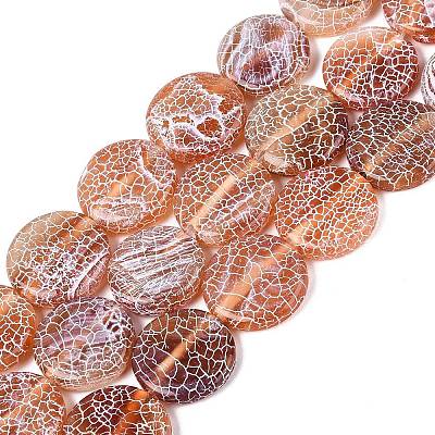 Natural Weathered Agate Beads Strands G-Q606-42D-1