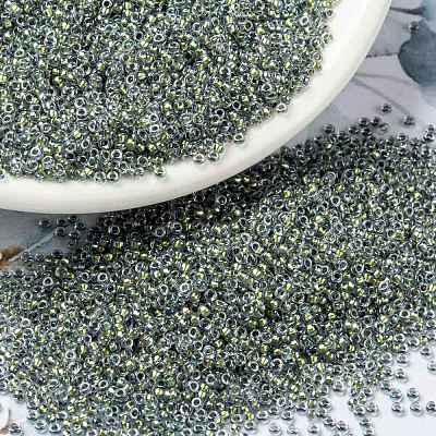 MIYUKI Round Rocailles Beads X-SEED-G009-RR3201-1