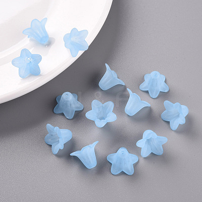 Transparent Acrylic Beads PLF018-06-1