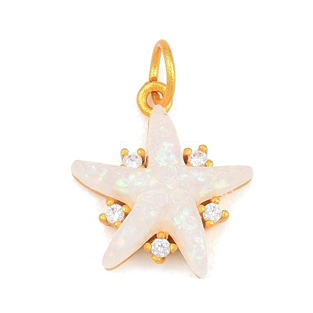 Alloy Pendants ALRI-D304-02G-02-1