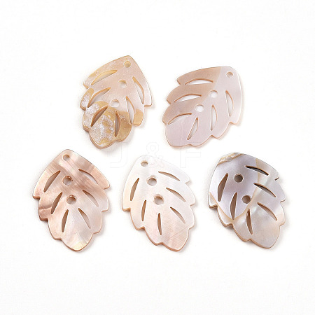 Natural Freshwater Shell Carved Pendants SHEL-N036-17-1