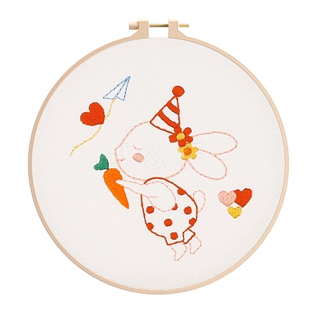 DIY Embroidery Kit DIY-P077-149-1